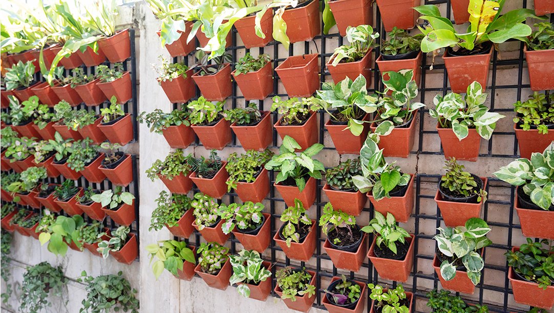 Vertical Garden